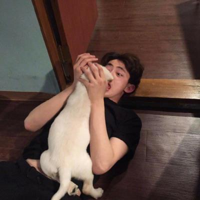 男生抱猫抱狗狗头像高清图片 抱猫抱狗的美少年
