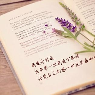 微信头像唯美意境静物 高清好看唯美有意境的静物微信