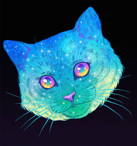 霸气猫咪头像 高清好看霸气的酷猫咪头像图片
