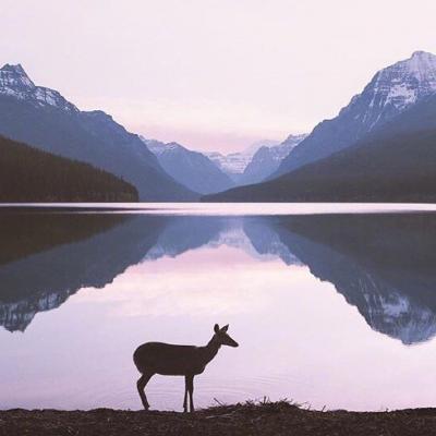 风景照片头像高清 好看精美的风景头像高清大图