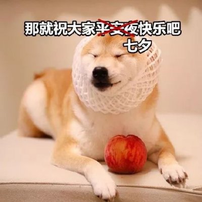 单身狗头像搞笑 高清好看搞笑的单身狗带字图片头像