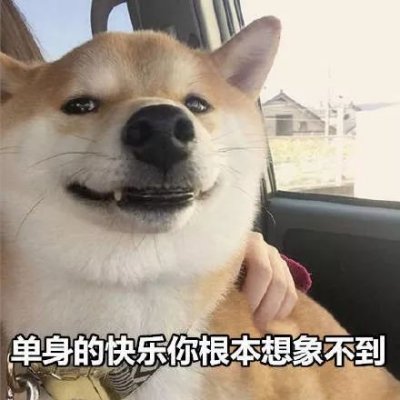 单身狗头像搞笑高清好看搞笑的单身狗带字图片头像