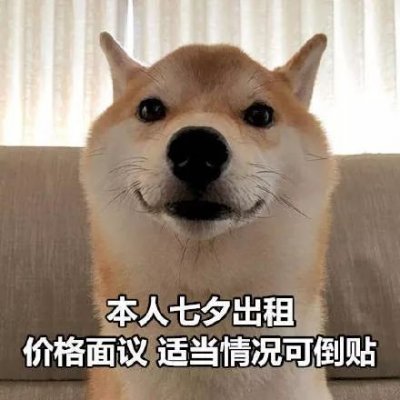 单身狗头像搞笑 高清好看搞笑的单身狗带字图片头像