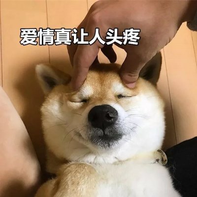 单身狗头像搞笑 高清好看搞笑的单身狗带字图片头像