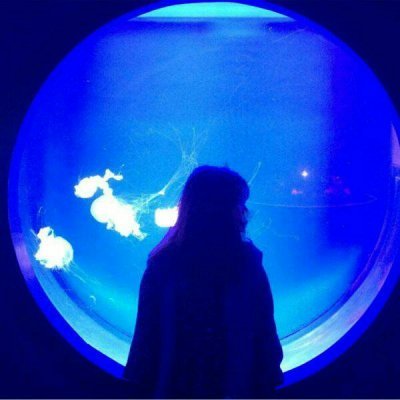 紫色荧光情侣头像 高清好看的紫色系荧光情侣头像霸气